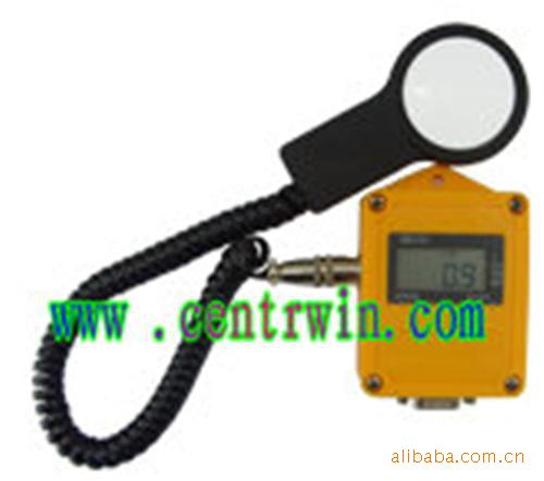 照度温度记录仪（液晶双路） 型号：HDYZDR-24