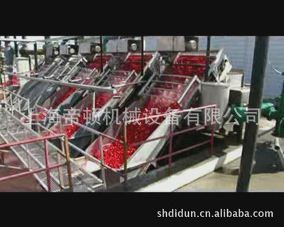 major customized Fruits and vegetables Automatic cleaning Stainless steel mesh Promote Conveying machinery equipment
