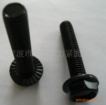 镇海效力供应4.8级法兰面螺栓 发黑 镀锌（图）