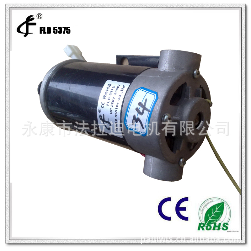 供应 0.5HP跑步机有刷直流电机马达 小型5375甩脂机电机