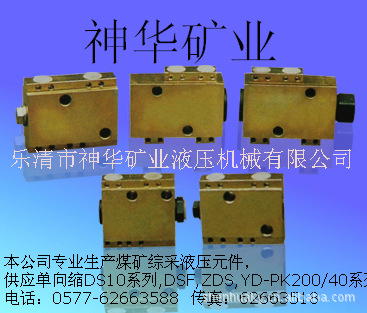 【厂家供应批发】矿用综机液压支架用单向阀单向锁DS10系列