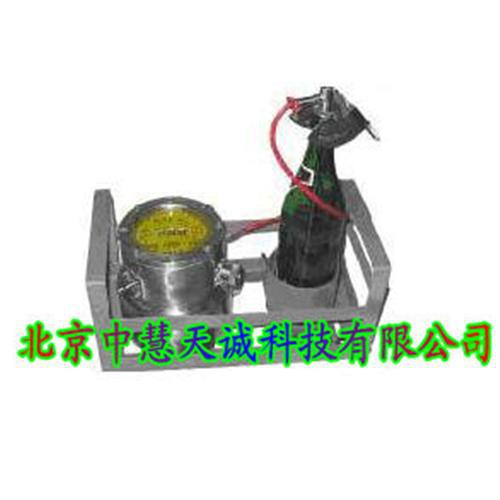 巴氏杀菌监测仪/PU仪 型号：SKB-RPU