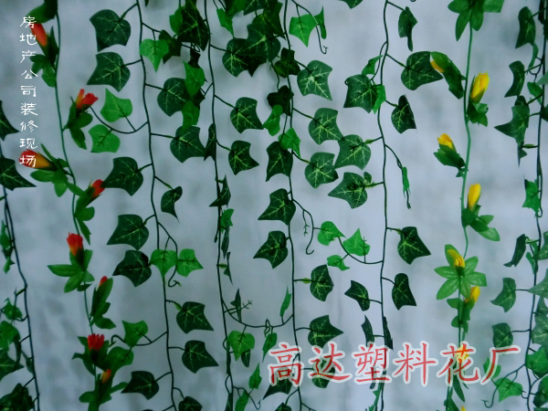 T2nNX2XiJaXXXXXXXX_!!759914221