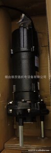 EBARA DG�и�۱��ձ�����
