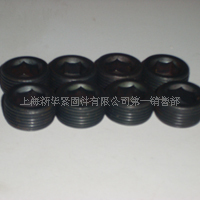 供应方头油塞 六角油塞  六角带垫螺塞  油管堵头 内外六角油塞