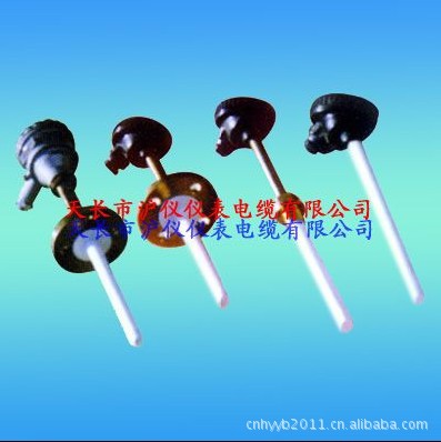 防腐热电阻WZPF-440防腐热电阻厂家直销WZPF-440防腐耐磨