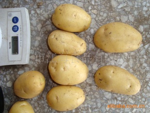 ɽ�|�S�������R���