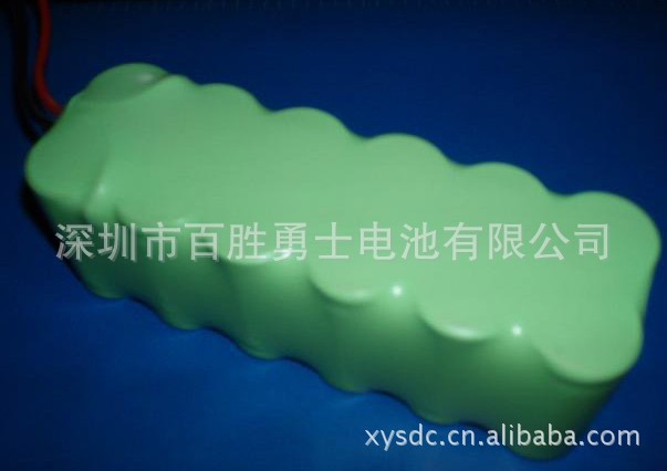 供应镍镉D5000MAH电池，C2800MA充电电池(图)