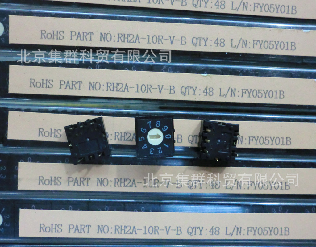 集群编码开关RH2A-10R-V-B