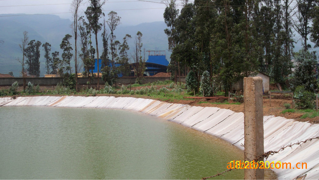 废水（含铅，砷废水）处理