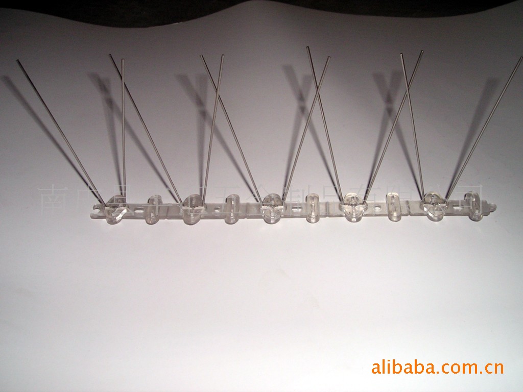 供应驱鸟刺(图)塑料鸟刺  建筑用不锈钢鸟刺厂家