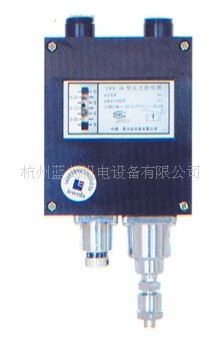 现货 雷尔达  防水型压力控制器 货源充足 品质保证