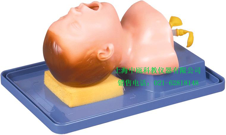 J15型 新生儿气管插管模型|急救训练模型|医学模型实验室装备