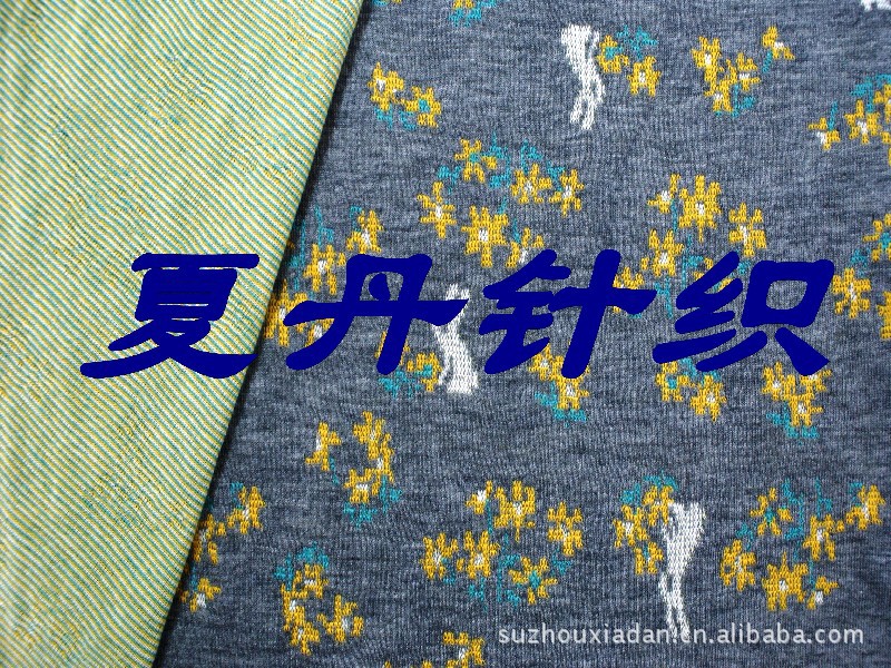 TR双面提花布，涤丝，人棉，兰精，双面提花，电脑提花，混纺