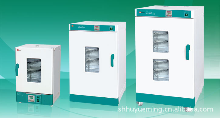 泰斯特WGL-125B鼓风干燥箱