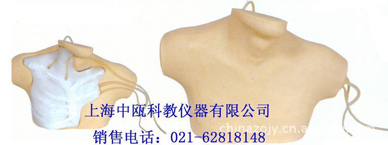 诊断技能训练模型|L69B型中心静脉穿刺插管模型|医学教学模型