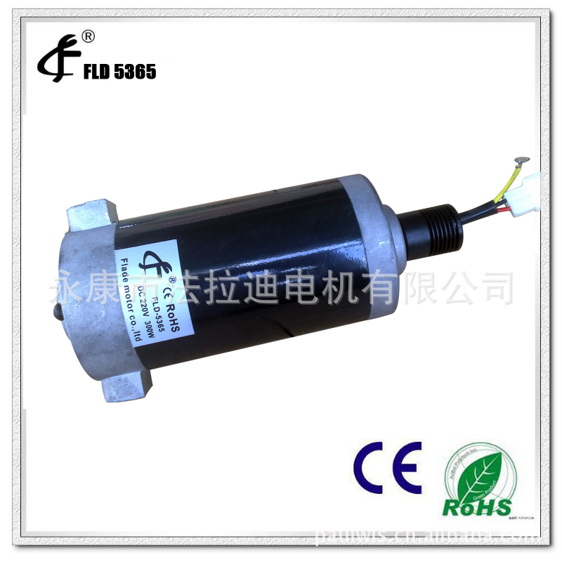 供应 跑步机甩脂机有刷直流电机马达5365 300W跑步机电机马达