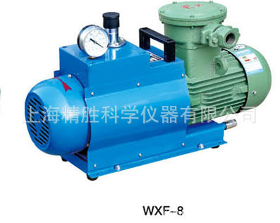 WXF-8无油旋片防爆真空泵（8L/s）（三相）
