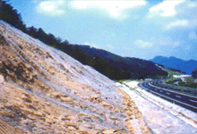 供应优质边坡防护网亦名钢丝绳护石网