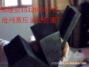 蒸压釜密封圈 高压釜密封圈，硫化罐密封圈，玻璃反应釜密封圈厂