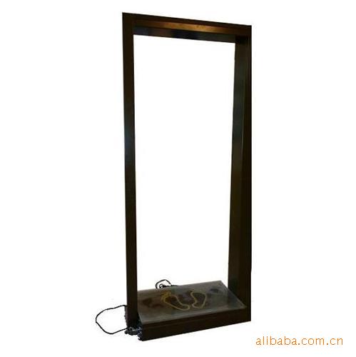 门式放射性沾染检查仪 型号：ZH8039