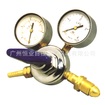 供应YQBX-213丙烯减压器 上海减压器厂产 广东供应商
