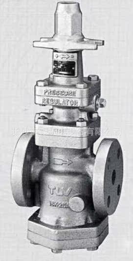 日本TLV蒸汽减压阀COSR-21 日本TLV蒸汽减压阀COSR-21