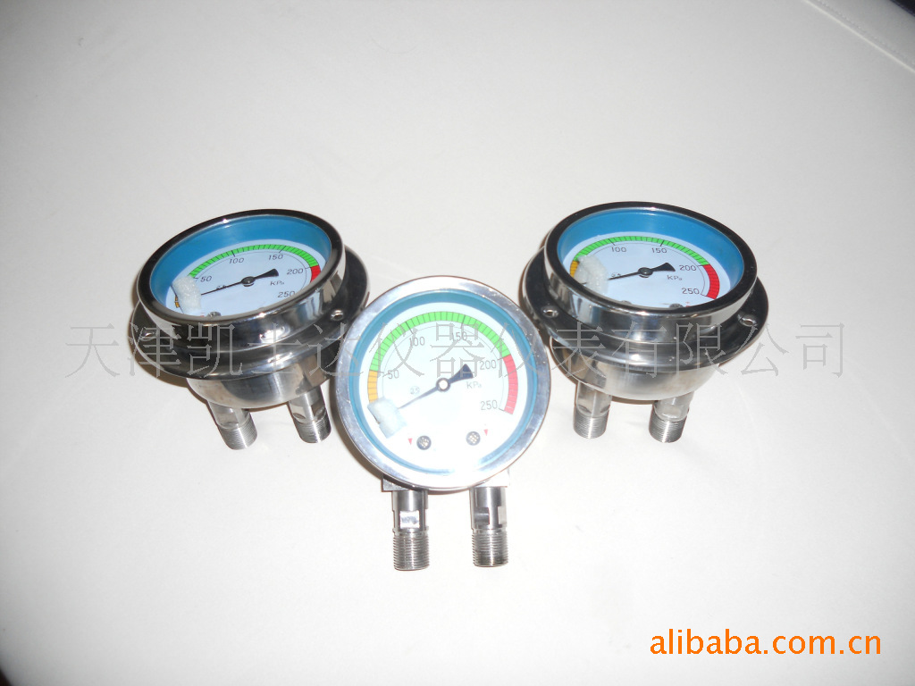 SCP系列全不锈钢差压表，SCPG系列全不锈钢差压表