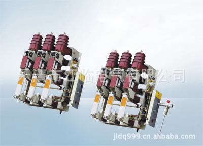 2020新生产 FZ(R)N25-12真空负荷开关 带融管 高压负荷|ms