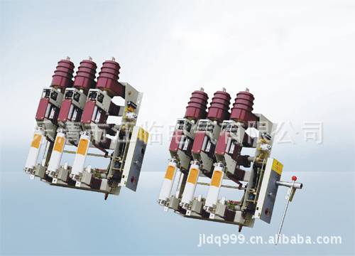 2020新生产 FZ(R)N25-12真空负荷开关 带融管 高压负荷|ms