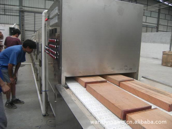 供应大容量短时间高品质微波木材窑式干燥设备