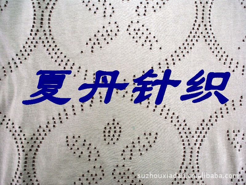 全棉提花洞眼布，PIMA棉，长绒棉，电脑提花网眼布