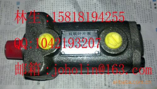 波拉115切纸机油压泵 切纸机落刀液压泵 切纸机配件 双联液压泵