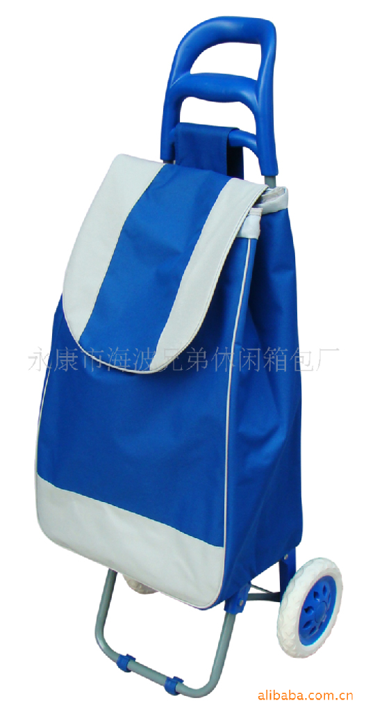 厂家直销 供应时尚大方的购物车 旅游车 行李车 买菜车 量大可优