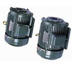 厂家专业供应台湾电机3HP-2.2KW（图）