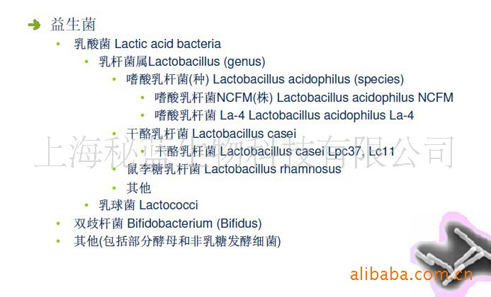 美国丹尼斯克 益生菌 嗜酸乳杆菌 NCFM