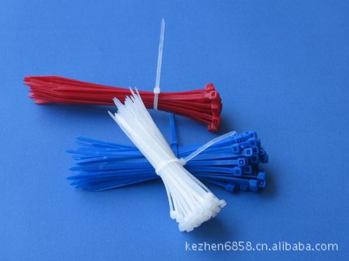 批发供应自锁式尼龙扎带 环保扎带