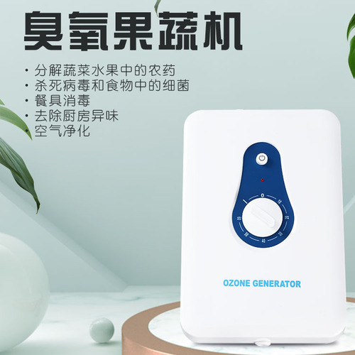 Cross-border fruit and vegetable cleaning machine household active oxygen fruit and vegetable disinfection machine ozone vegetable washing machine ebay Amazon wholesale