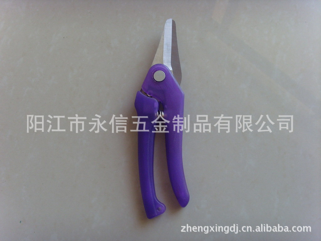 花园剪花剪整篱剪刀果子剪园艺剪果剪园林工具剪刀修枝剪盆栽剪