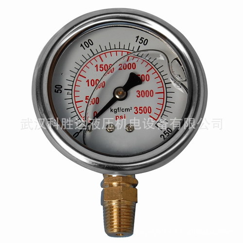 压力表G60-CBM-250-K-10立式安装 背接安装