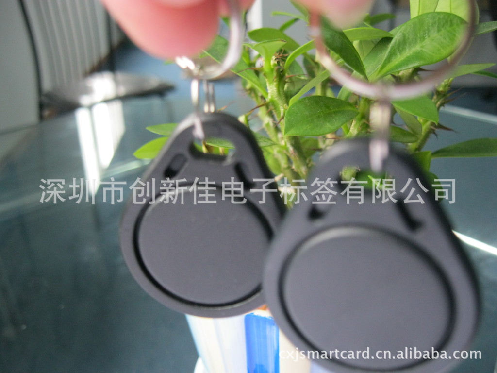 照片 148