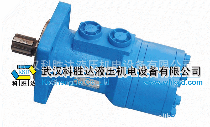 BM3-50 BM3-100液压马达BM3-160 BM3-200 BM3-400吊机液压马达
