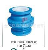 供应 耐腐蚀升降立式止回阀H42F止回阀