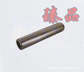 供应定位销(带螺纹)304