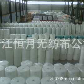 ES 亚光无纺布 跨境食品滤布 热封粘合布面平整