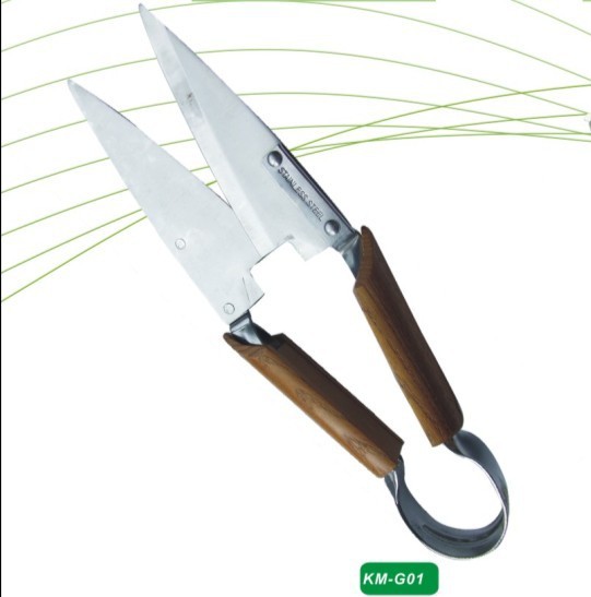 园艺专用 不锈钢剪草草剪 厂家供应 草地皮剪刀 羊毛剪刀