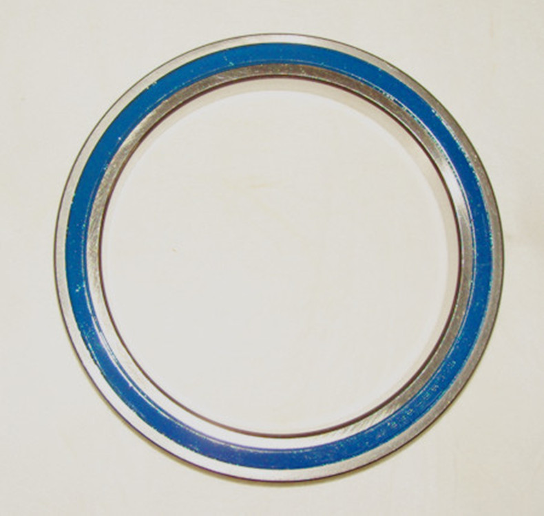 61848-2RS [양면 고무 씰]