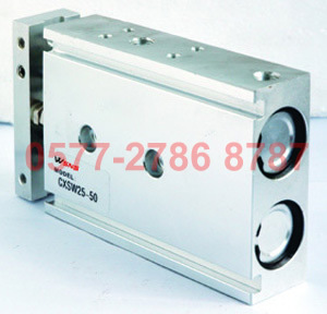 山耐斯 TDA/TN16X10/20/30/40/50/60/70/80/90/100 双杆气缸 WSNS