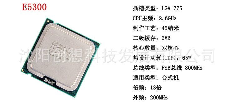 CPU E5300