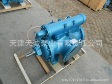 雙吸雙螺桿泵GS/潤滑泵/船用泵/螺旋泵/立式泵/船用泵/